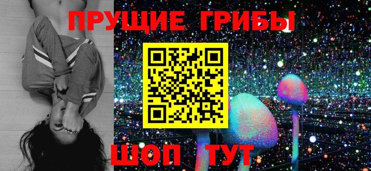 Псилоцибиновые грибы ЛСД  Вход с VPN  Кубинка  Псилоцибиновые грибы MAGIC MUSHROOMS 